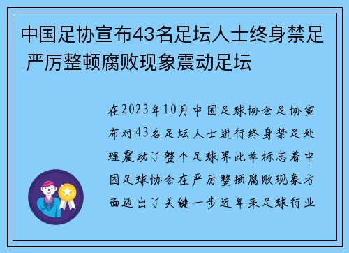 中国足协宣布43名足坛人士终身禁足 严厉整顿腐败现象震动足坛